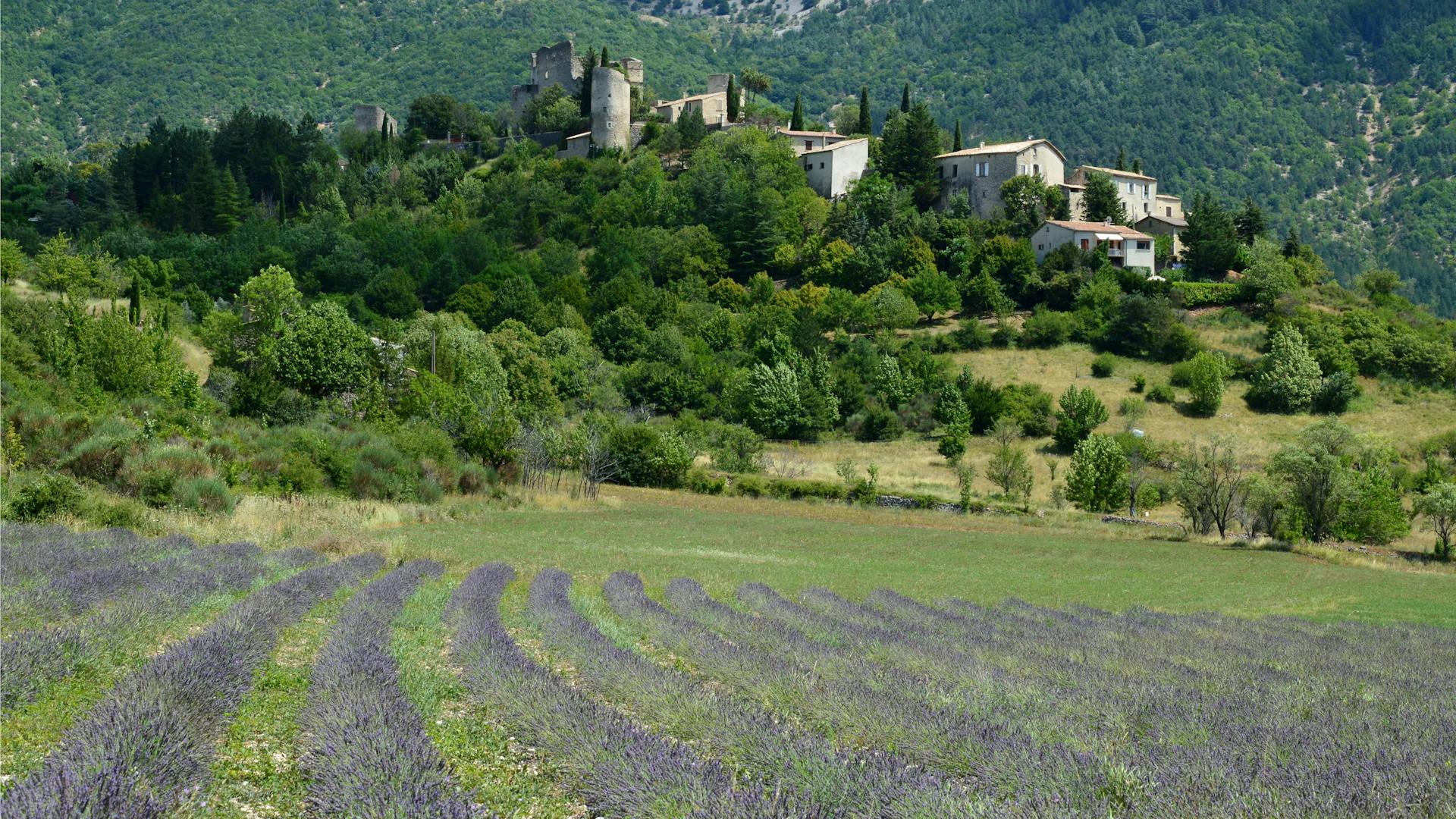 Village provençal ensoleillé